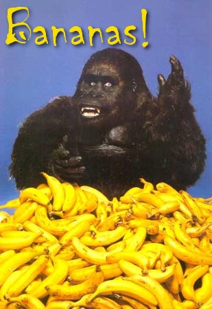 gorilla-bananas.jpg