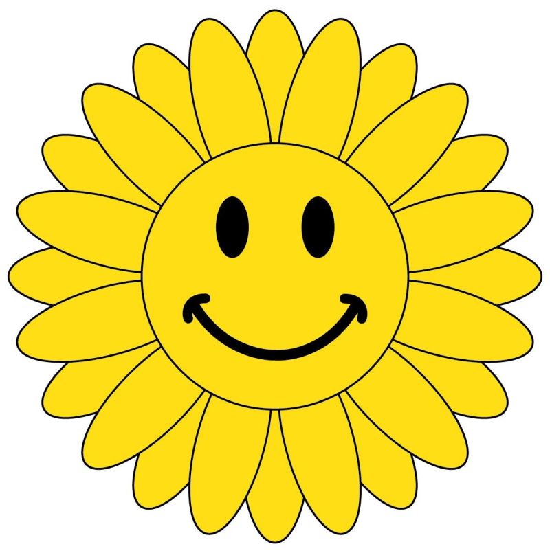 Sonnenblume Sonnenblume